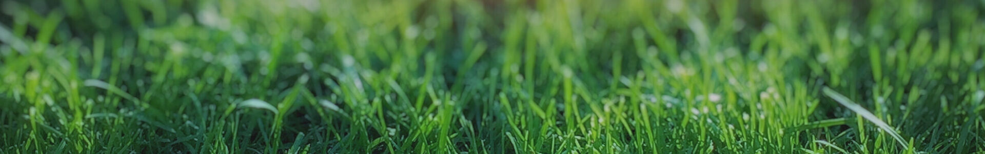 Pompes Funèbres Leruite : entreprise de pompes funèbres