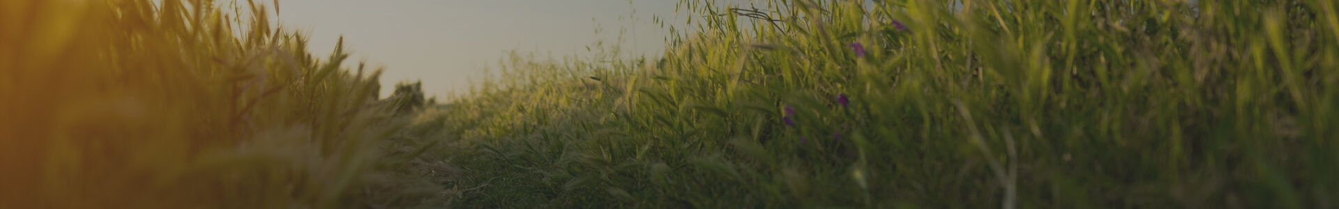 Centre Funéraire Dethier : entreprise de pompes funèbres