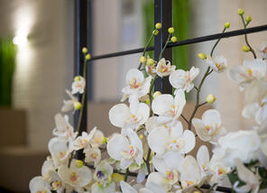 Centre funéraire Georis : entreprise de pompes funèbres