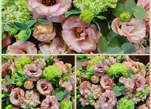 Funérailles Grevesse : entreprise de pompes funèbres