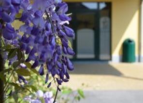 Funérailles Massaux : entreprise de pompes funèbres