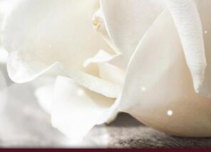 Pompes Funèbres Bressart : entreprise de pompes funèbres