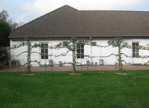 Centre Funéraire André Vanhole : entreprise de pompes funèbres